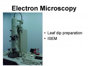 Slide16 (1)                