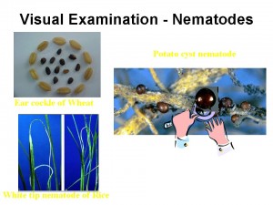 Slide23 (1)                        